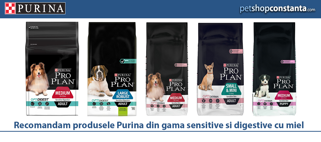 Promotie Pet shop Online Constanta