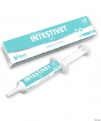 Intestivet Gel 15ml