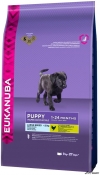 Eukanuba Puppy&Jr Large cu Pui 18kg