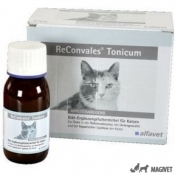 ReConvales Tonicum Cat